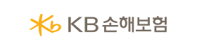 KB손해보험.png