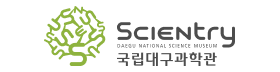국립대구과학관.png